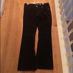 Brown chocolate boot leg corduroy pants